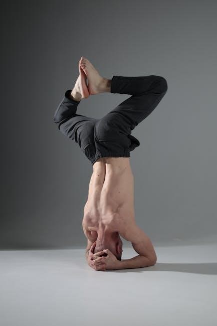 guide to physical therapy practice
