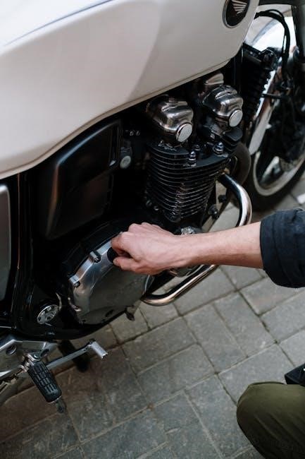 what is a manual check